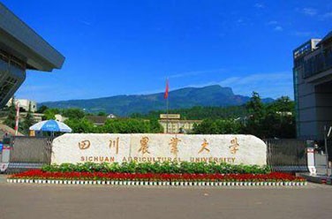 四川農(nóng)業(yè)大學(xué)211